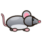 Myš