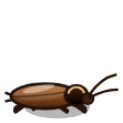 Šváb