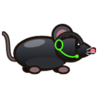 Saseik