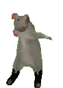Miši